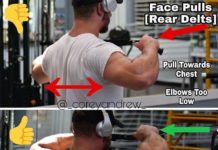 🔥The Cable Face-Pull The Cable Face-Pull