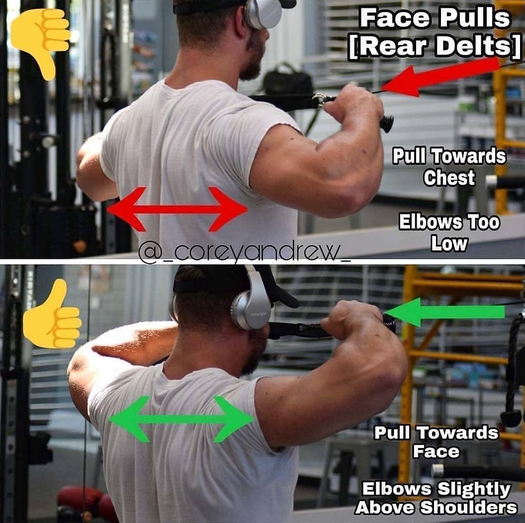 The Cable Face-Pull