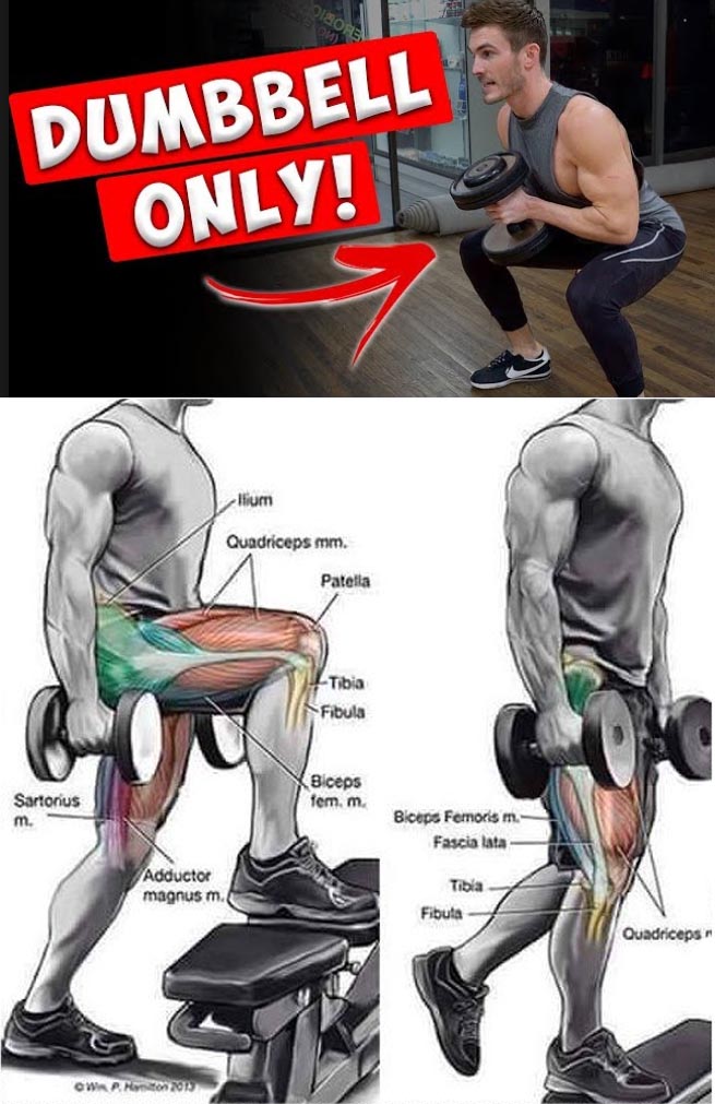 Dumbbell Legs Exercises