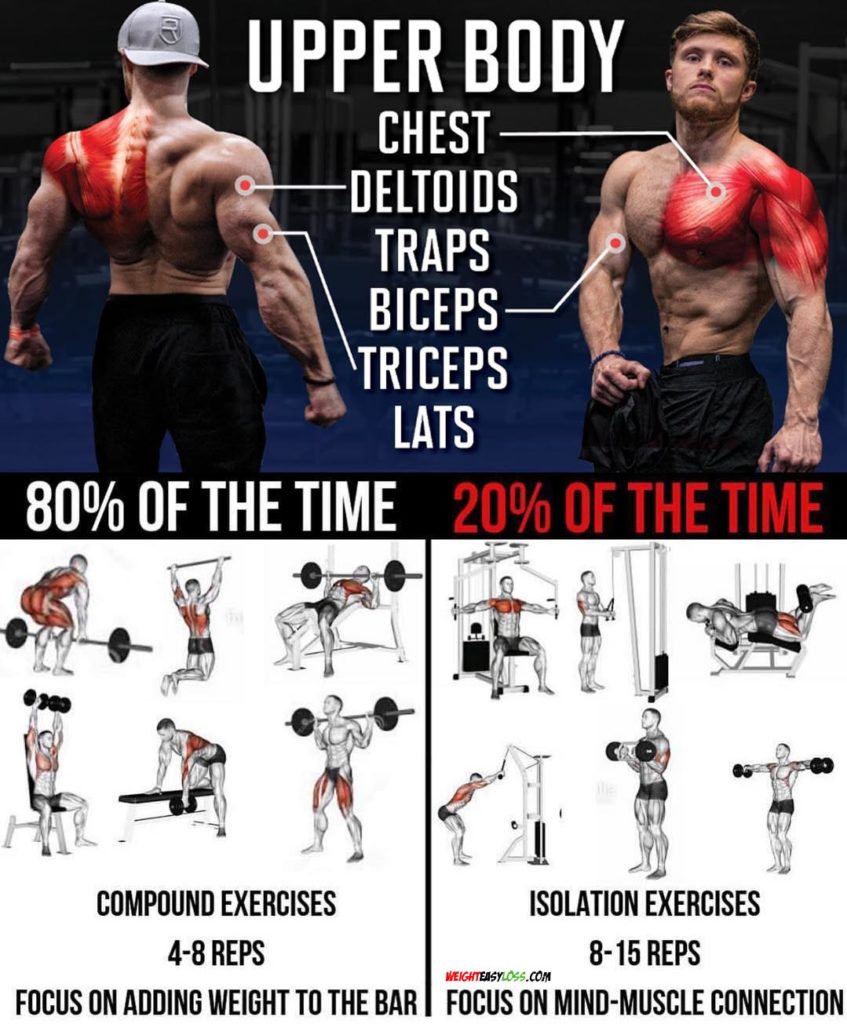 BUILD A BIGGER UPPER BODY