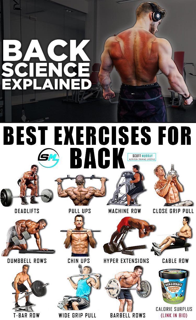 Best Back Exercises 