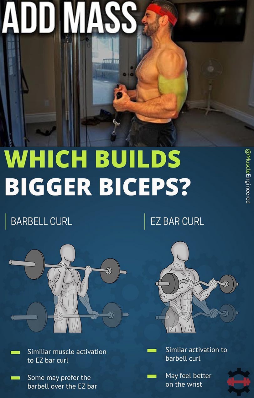 HOW TO ADD MASS BICEPS