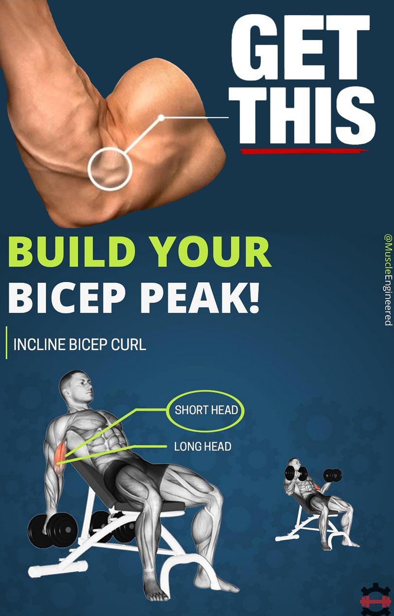 Get This Biceps Peak