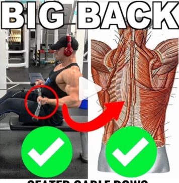 🚨SEATED CABLE ROWS