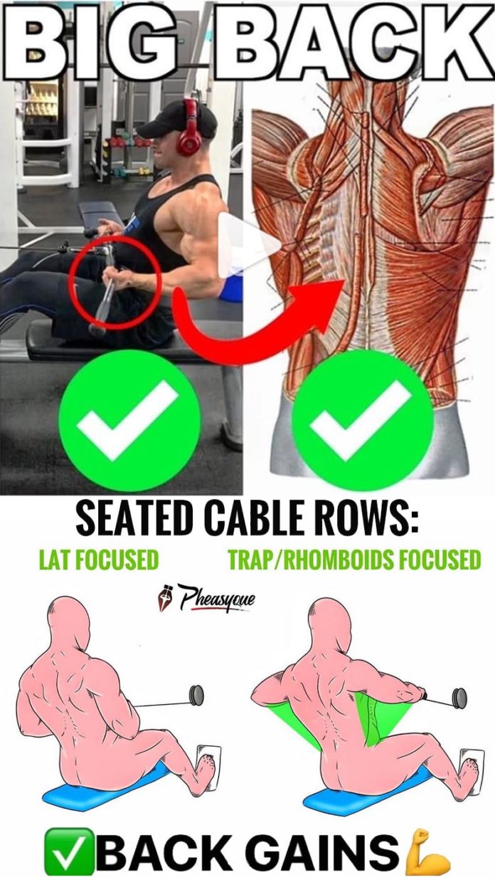SEATED CABLE ROWS