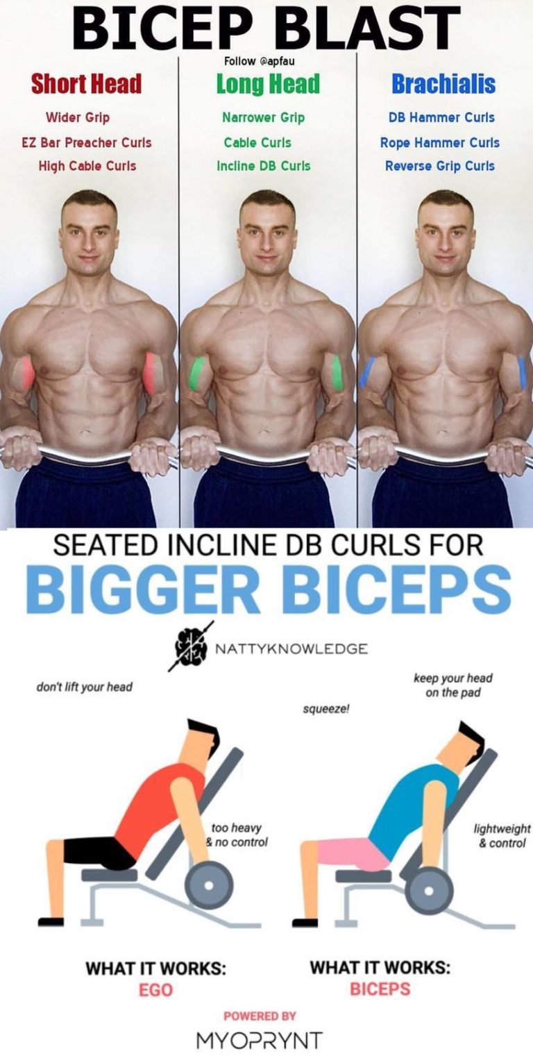 Short Head Bicep Exercises