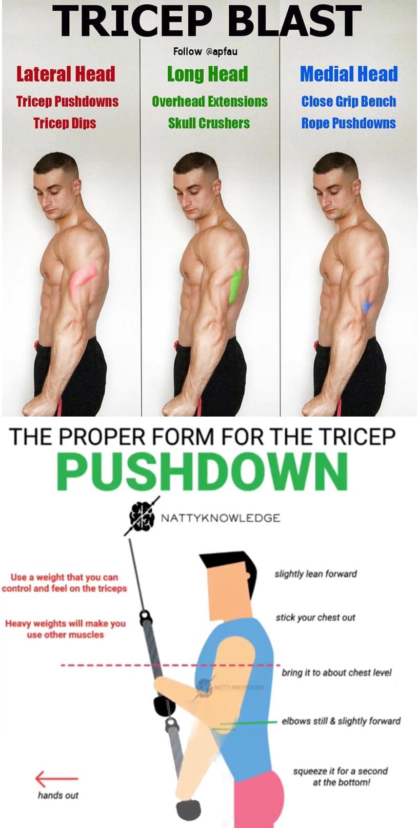 Triceps Pushdown