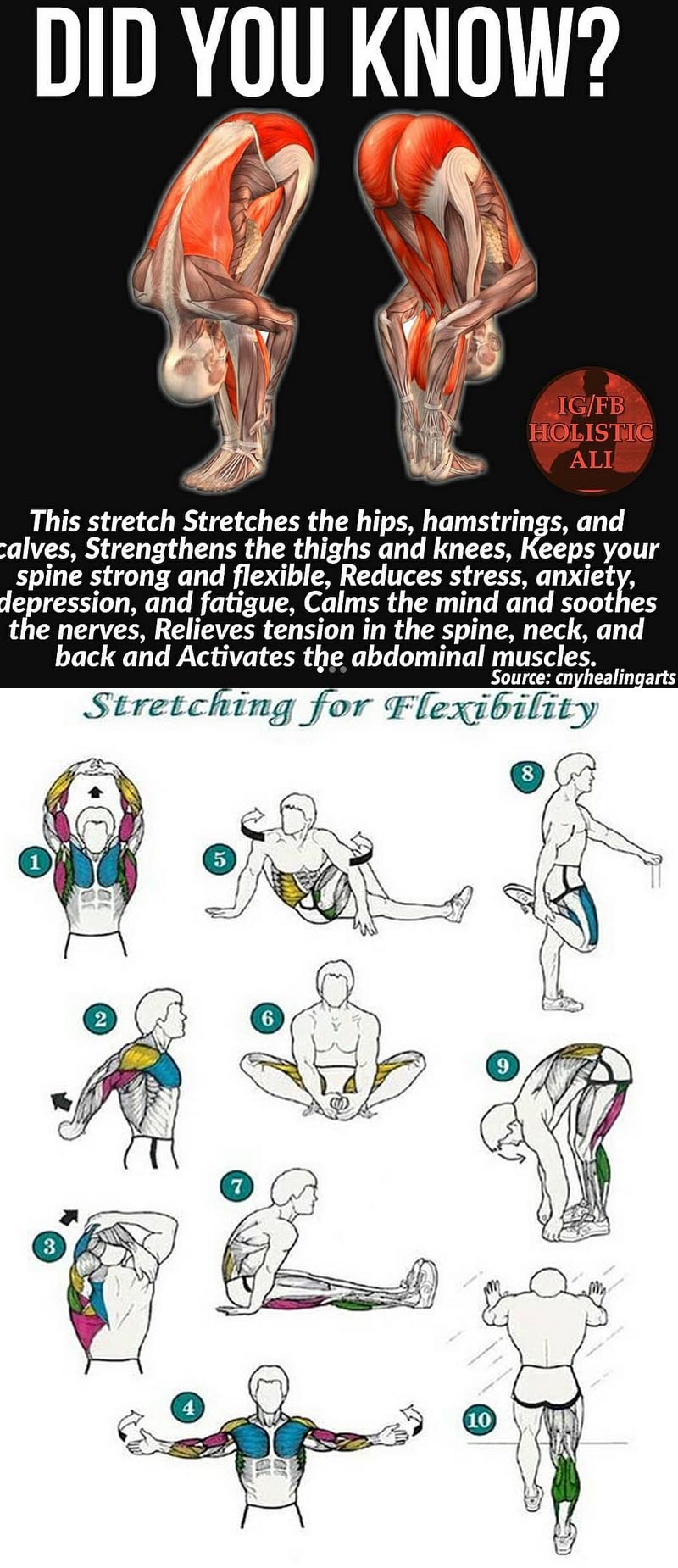 Stretching for Flexibility