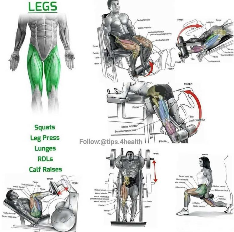 Best Workouts For Thicker Quads Glutes And Hams 2771