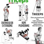 Triceps exercises