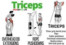 Triceps workout guide