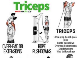 Triceps workout guide