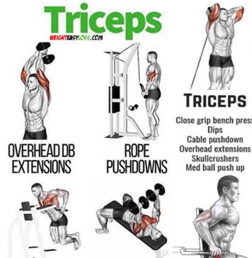 Triceps workout guide