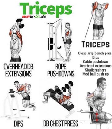 How to Triceps Pushdown, Technique and Types | Video & Guide