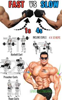 The Biceps & Brachii Training