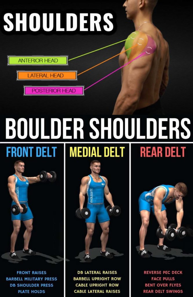 Build Bigger Shoulder