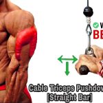 Cable Tricep Pushdown
