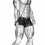 Cable Tricep Pushdown One Hand