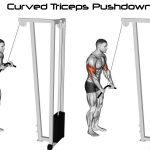 Curved Triceps pushdown