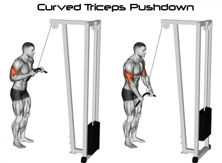 How To Triceps Pushdown Technique And Types Video And Guide 1879