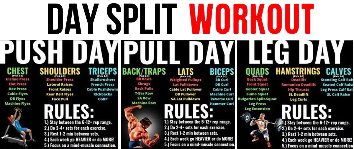 Day split, Push Pull Legs Workout
