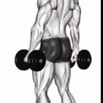 Dumbbell Shrugs