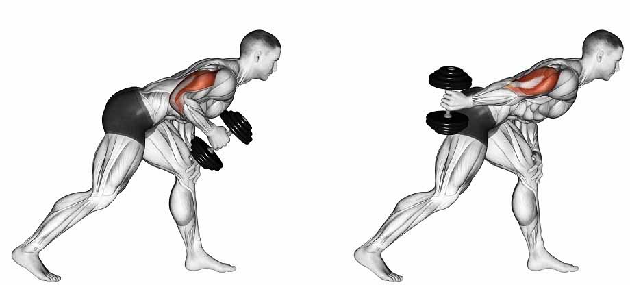 Extension of one hand back with a dumbbell