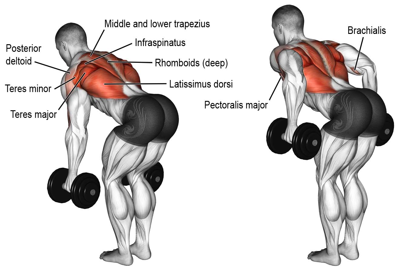 best-lats-exercises-to-build-a-perfect-back