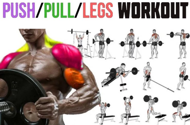 How to Do Push Pull Legs Workout