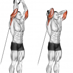 Reverse Overhead Cable Extension – Lower Block