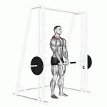 Shrugs in Smith Machine