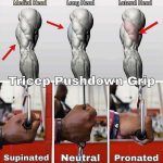 Triceps Pushdown Grip