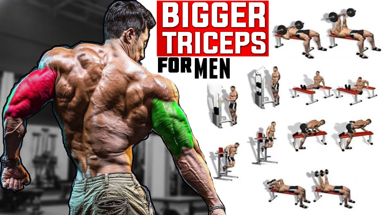 The Best Triceps Workouts For Man, Benefits, Types