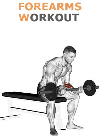 How to Wrist Curl Over Bench