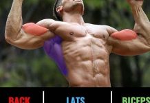 Best Lats Exercises to Build a Perfect Back Lats Exercises