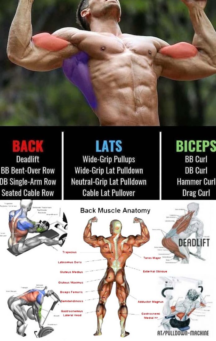 Best Lats Exercises To Build A Perfect Back 