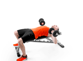 how to dumbbell press