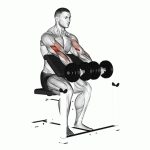 Scott’s Dumbbell Curl