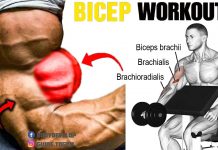 How to Do Dumbbell Bicep Workout