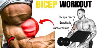 How to Do Dumbbell Bicep Workout