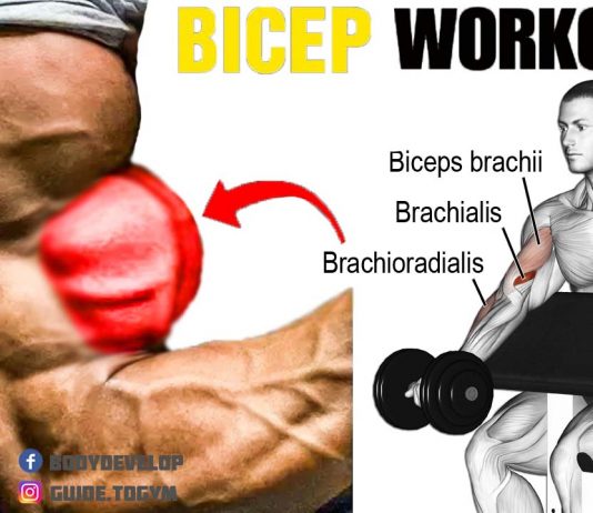 How to Do Dumbbell Bicep Workout