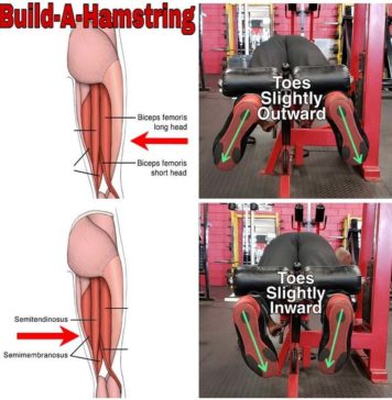 Are Your Hamstrings Lagging