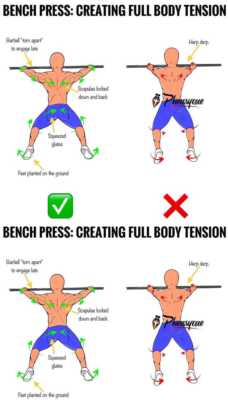 Bench Press Bar Path Form Check - Weighteasyloss.com - Fitness 