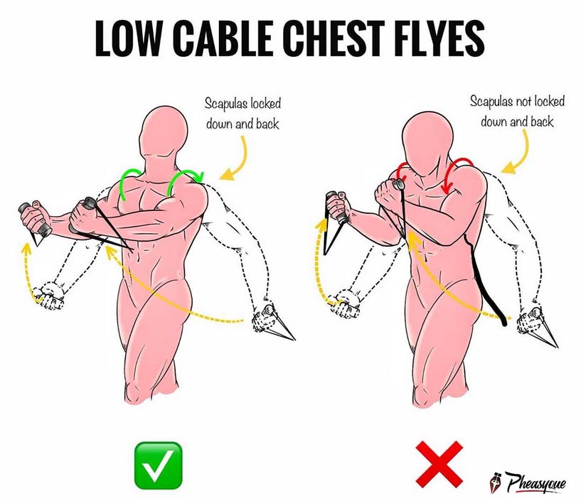 Low Cable Chest Flyes
