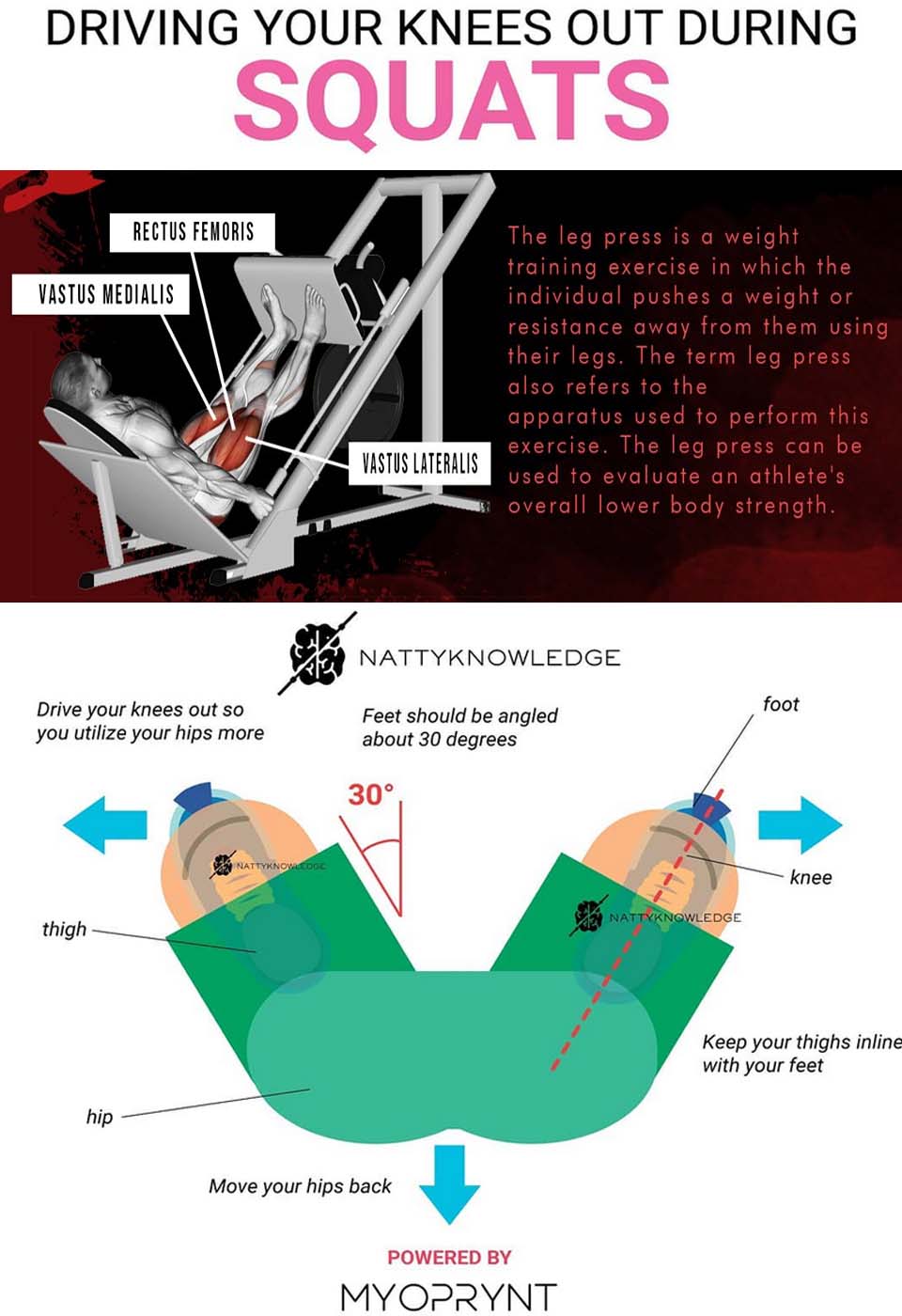 One Way to Use a Leg Press - weighteasyloss.com - Fitness Lifestyle