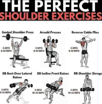 THE PERFECT SHOULDER WORKOUT
