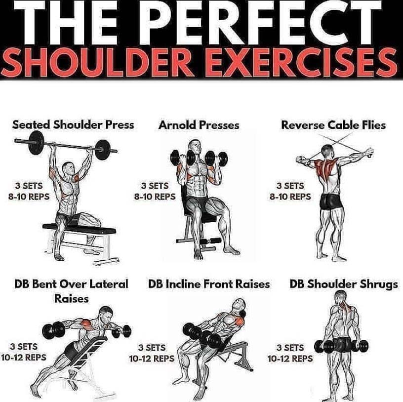6 Day Shoulder Workout Images for Women
