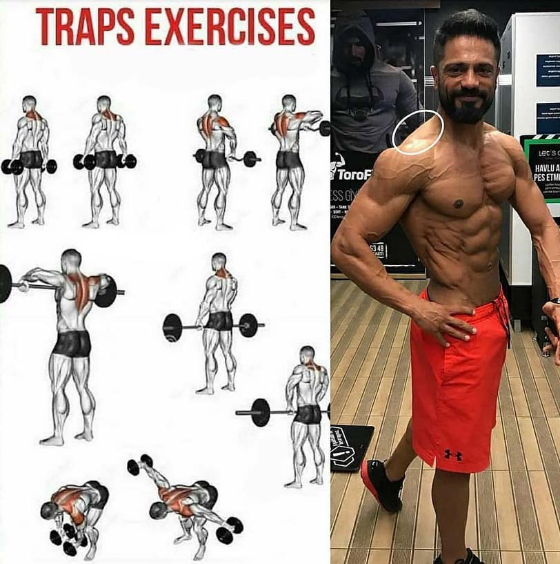 🔥The Best Trap Workouts & Exercise Guides - weighteasyloss.com - Fitness  Lifestyle, Fitness and Bodybuilding …