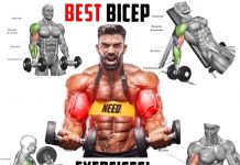 Bicep Exercises | The Best Training Program The Best for Building Muscle
