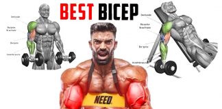 The Best for Building Muscle